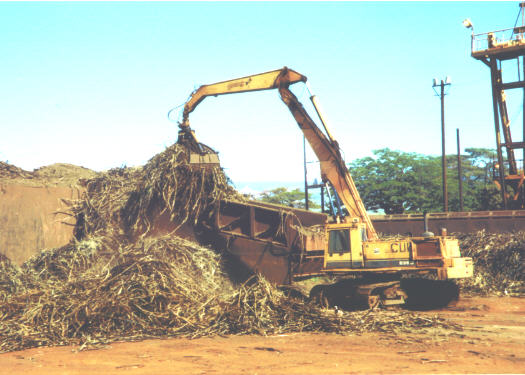 Start of cane processing